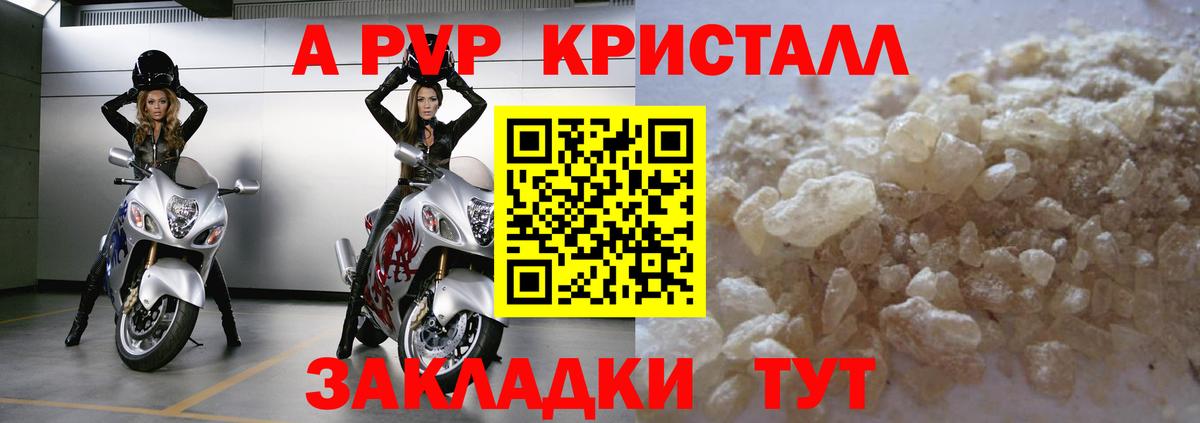 A PVP СК КРИС Бердск