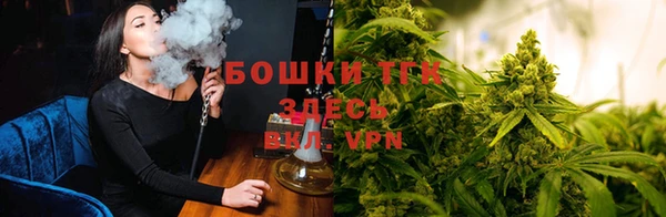 каннабис Магас