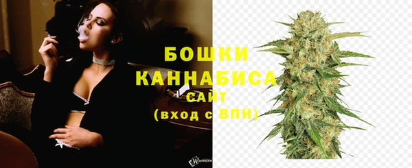 прущие грибы Майский