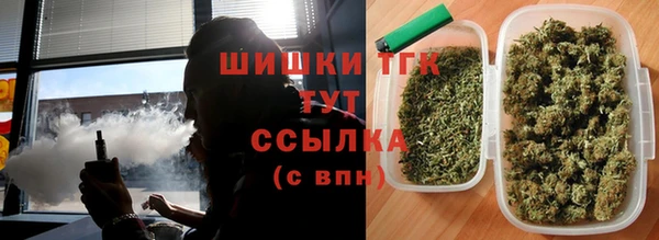 прущие грибы Майский