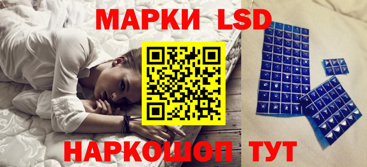 Псилоцибиновые грибы Бердск