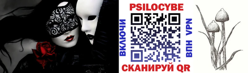 Галлюциногенные грибы Psilocybine cubensis  Бердск 