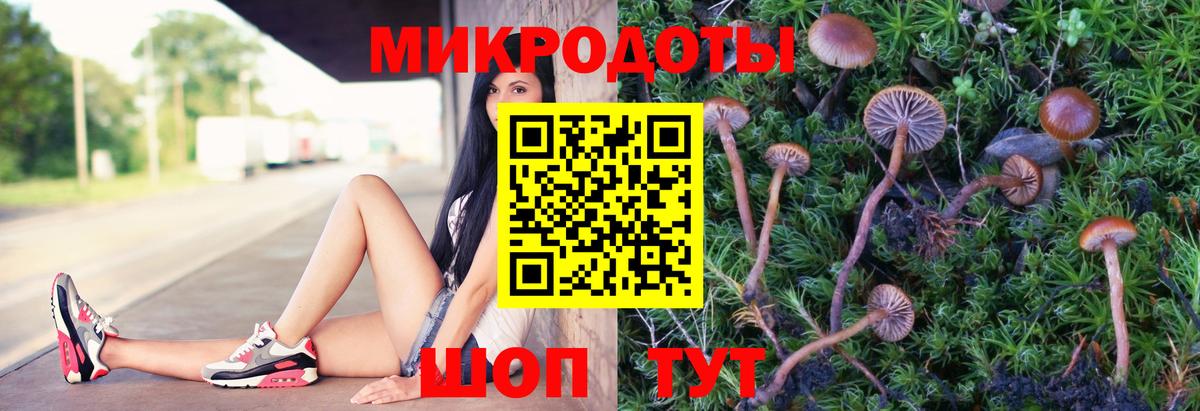 Бердск  Галлюциногенные грибы Psilocybine cubensis  Вход с VPN 